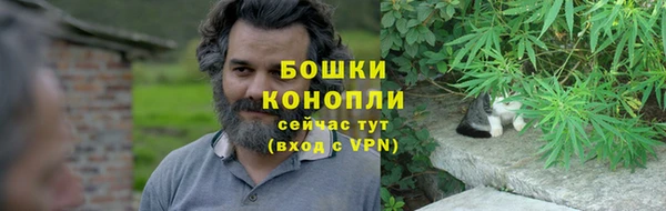 дурь Белокуриха