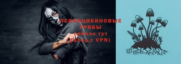 тгк Богородицк