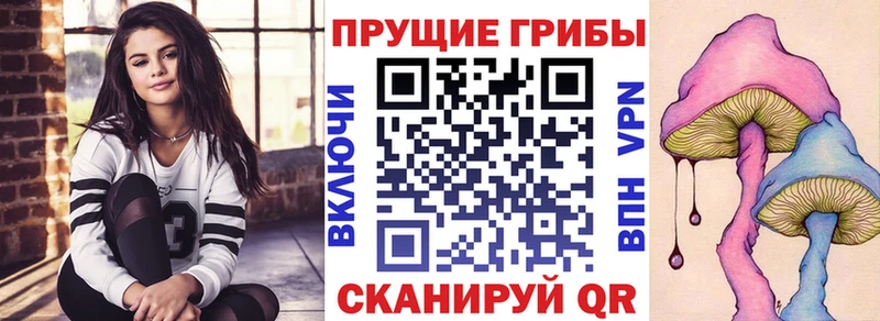 Псилоцибиновые грибы ЛСД  цена   hydra сайт  Кола 